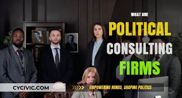 Understanding Political Consulting Firms: Roles, Strategies, and Influence in Campaigns