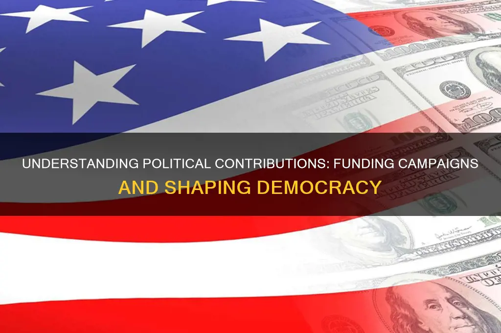 what are political contributions