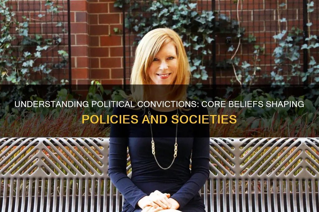 what are political convictions