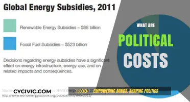 Understanding Political Costs: Implications, Impact, and Real-World Consequences