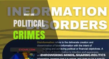 Understanding Political Crimes: Definitions, Examples, and Legal Implications