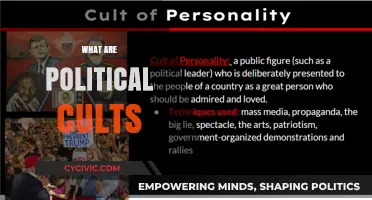 Understanding Political Cults: Origins, Tactics, and Societal Impact Explained
