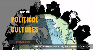 Understanding Political Cultures: Shaping Societies, Governments, and Global Dynamics