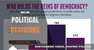 Understanding Political Decisions: Power, Policy, and Public Impact Explained