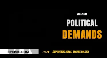 Understanding Political Demands: Key Concepts and Real-World Implications