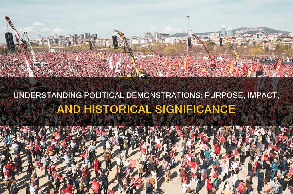 what are political demonstrations