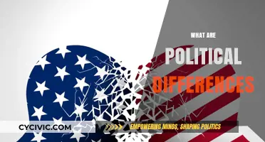 Understanding Political Differences: Ideologies, Conflicts, and Global Perspectives Explained