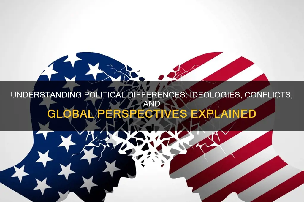 what are political differences