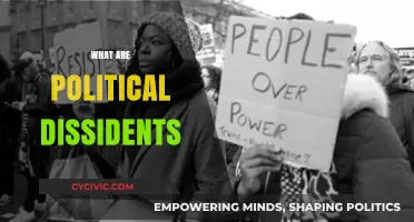 Understanding Political Dissidents: Voices of Dissent and Resistance