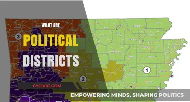 Understanding Political Districts: Boundaries, Representation, and Electoral Impact