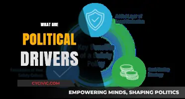 Understanding Political Drivers: Key Forces Shaping Policies and Decisions