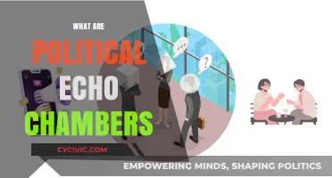 Breaking Free: Understanding the Impact of Political Echo Chambers