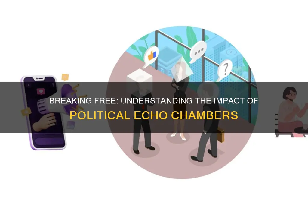what are political echo chambers