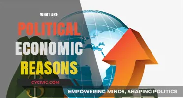 Exploring Political Economic Reasons: Power, Policy, and Global Impact