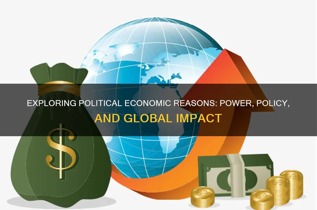 what are political economic reasons