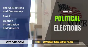 Understanding Political Elections: Democracy's Core Process Explained Simply