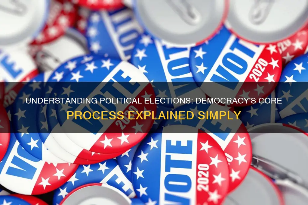 what are political elections