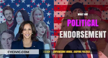 Understanding Political Endorsements: Influence, Impact, and Election Strategies