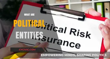 Understanding Political Entities: Definitions, Types, and Global Influence Explained