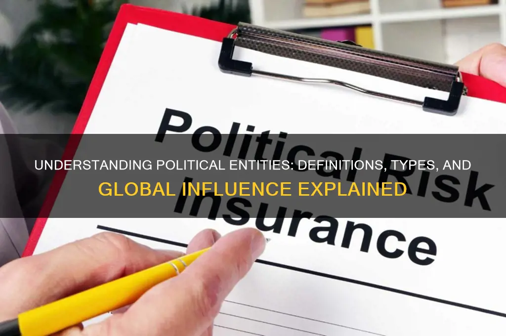 what are political entities