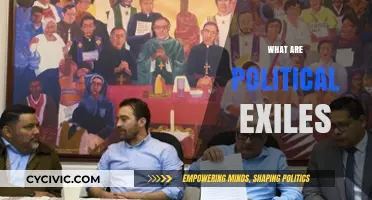 Understanding Political Exiles: Causes, Consequences, and Global Impact