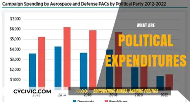 Understanding Political Expenditures: Funding Campaigns and Influencing Elections