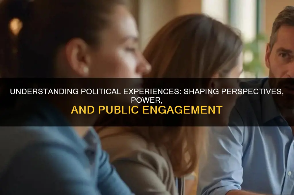 what are political experiences
