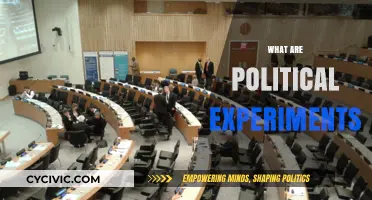 Exploring Political Experiments: Innovative Approaches to Governance and Policy