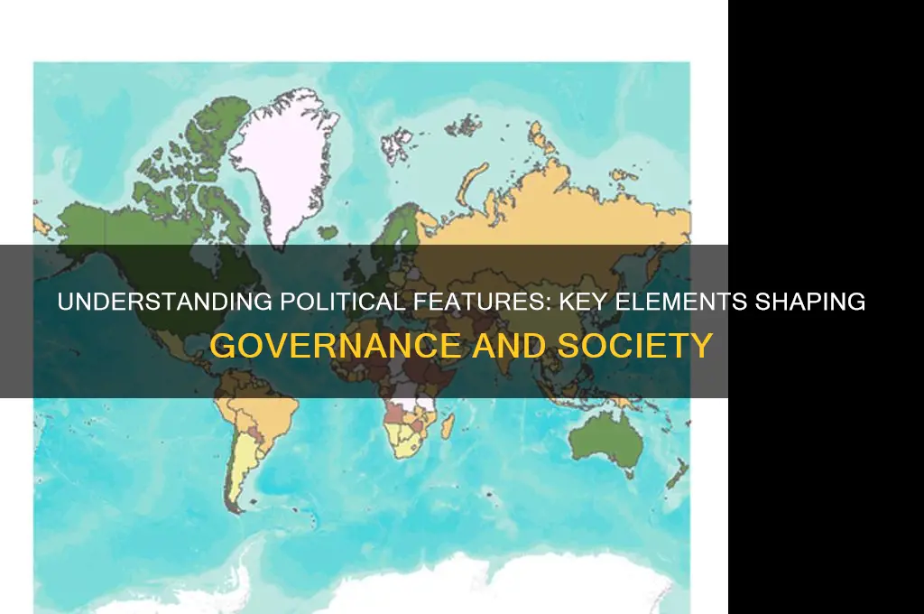 what are political features