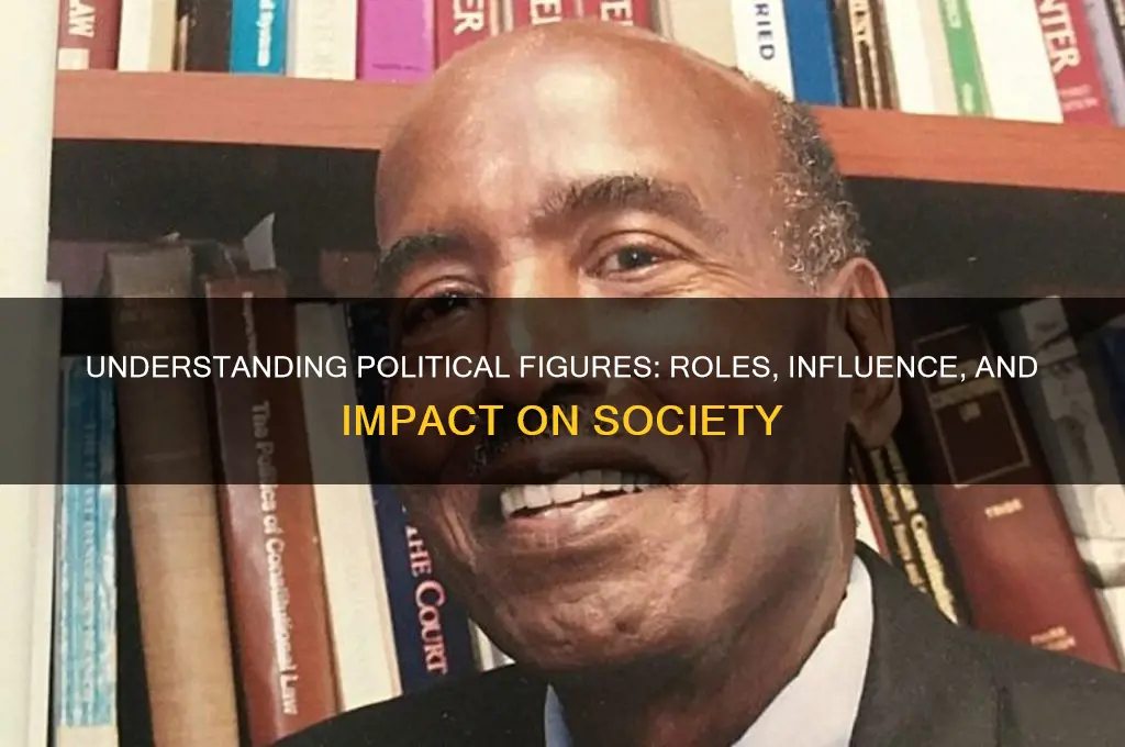 what are political figures