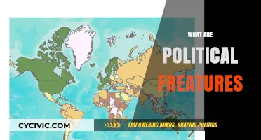 Understanding Political Features: Key Concepts and Their Impact on Governance