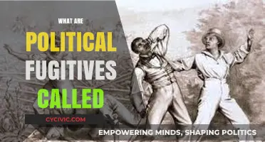 Understanding the Term for Political Fugitives: A Comprehensive Guide