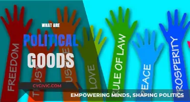 Understanding Political Goods: Essential Components of a Functional Society