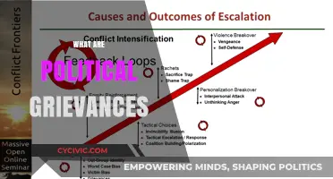 Understanding Political Grievances: Causes, Impacts, and Resolution Strategies