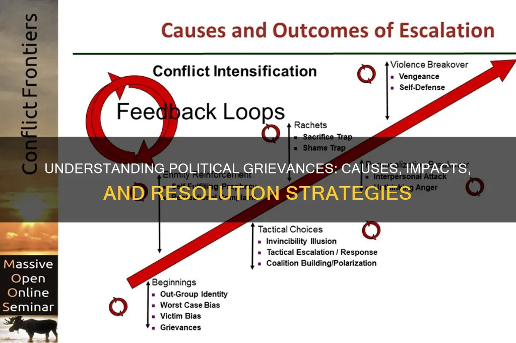 what are political grievances