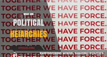 Understanding Political Hierarchies: Power Structures and Governance Explained