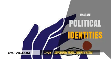 Understanding Political Identities: Shaping Beliefs, Affiliations, and Societal Roles