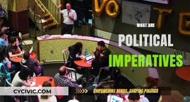 Understanding Political Imperatives: Driving Forces Behind Government Decisions