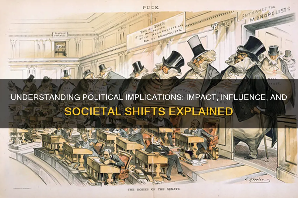 what are political implications