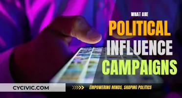 Political Influence Campaigns: How They Work and Why
