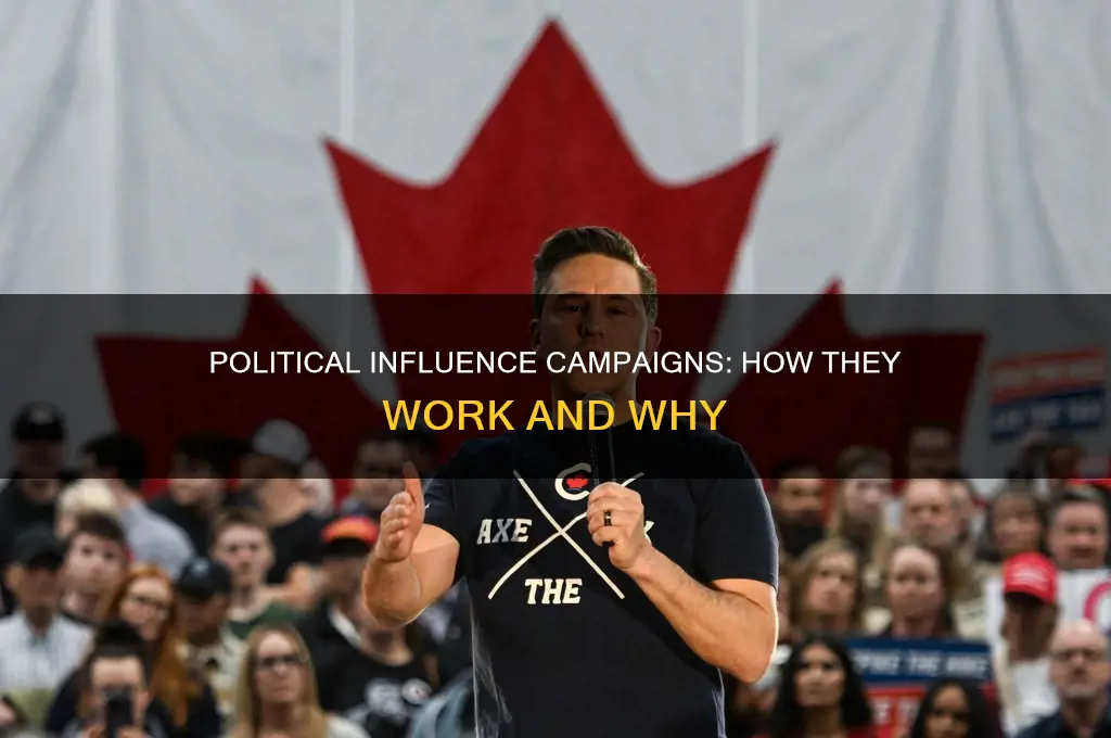 what are political influence campaigns