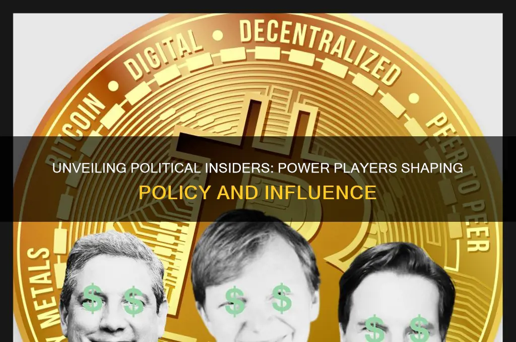 what are political insiders