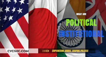 Understanding Political Institutionalization: Foundations, Processes, and Societal Impact