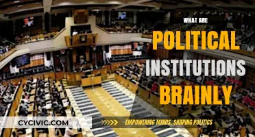 Understanding Political Institutions: Functions, Roles, and Global Impact Explained