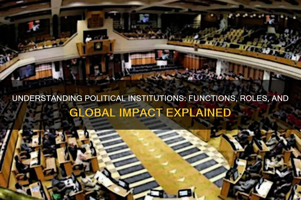 what are political institutions brainly