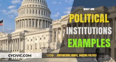 Understanding Political Institutions: Key Examples and Their Roles Explained