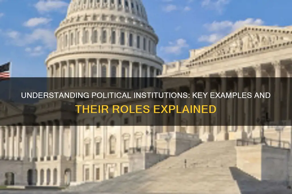 what are political institutions examples