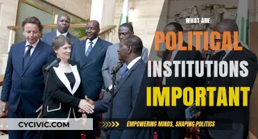 Why Political Institutions Matter: A Foundation for Governance and Society