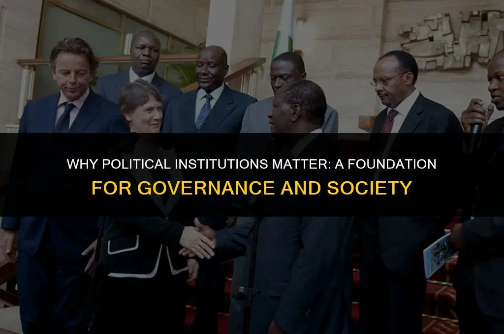 what are political institutions important