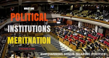 Understanding Political Institutions: Roles, Functions, and Meritnation Insights